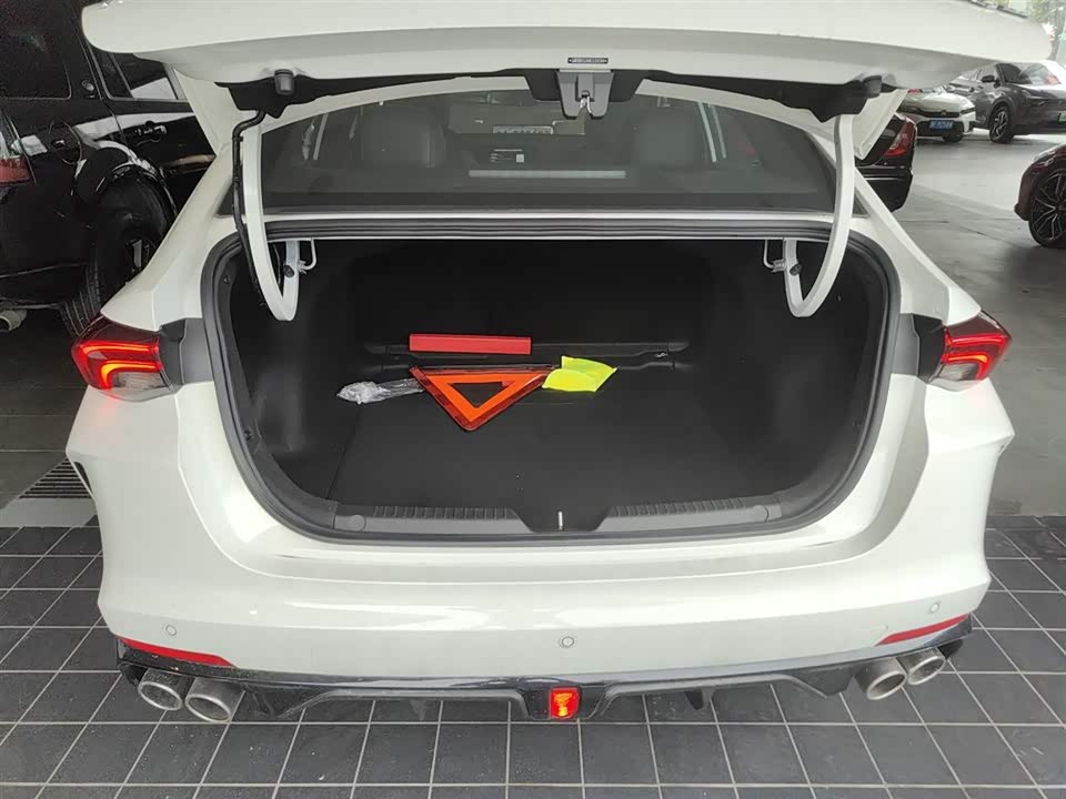 Trumpchi Shadow Leopard