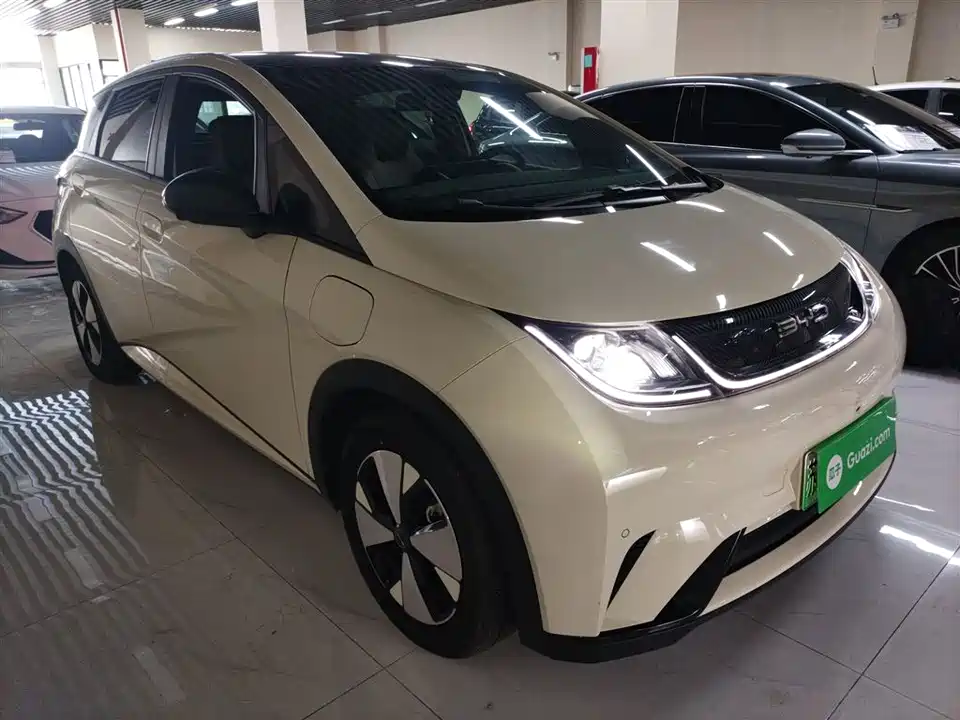 BYD dolphin