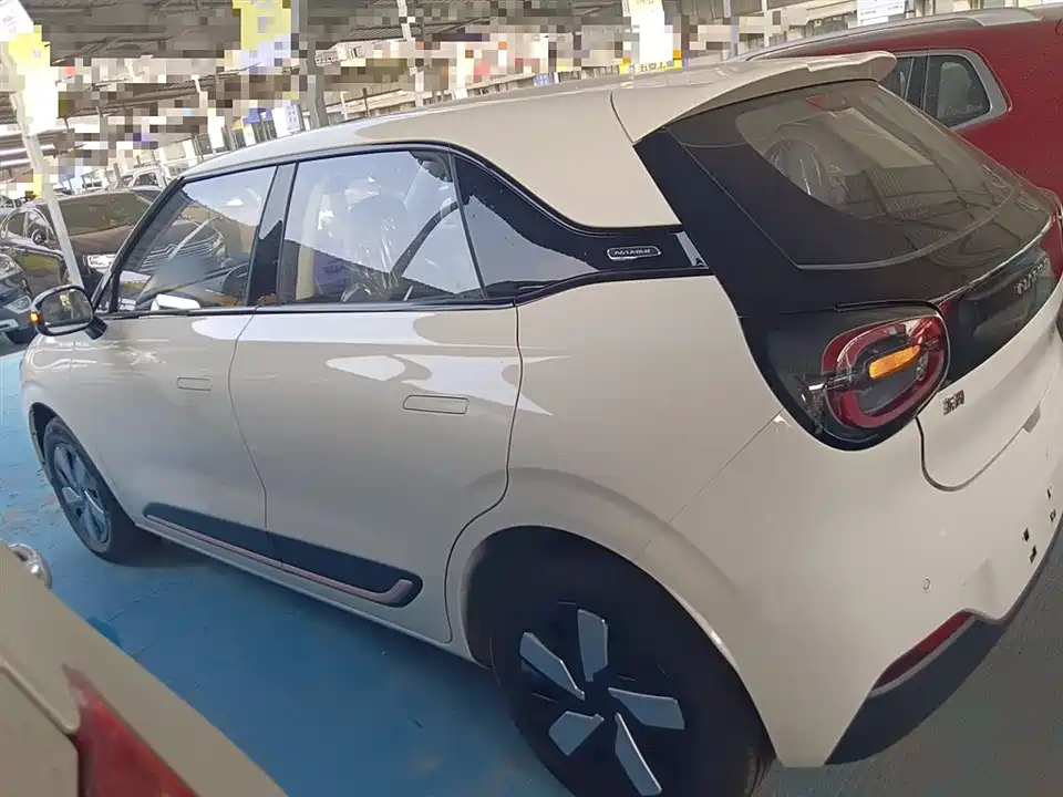 Dongfeng Nammi Nano 01