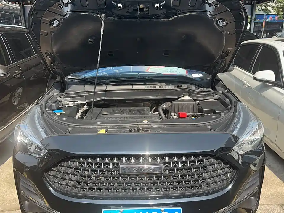 Haval M6