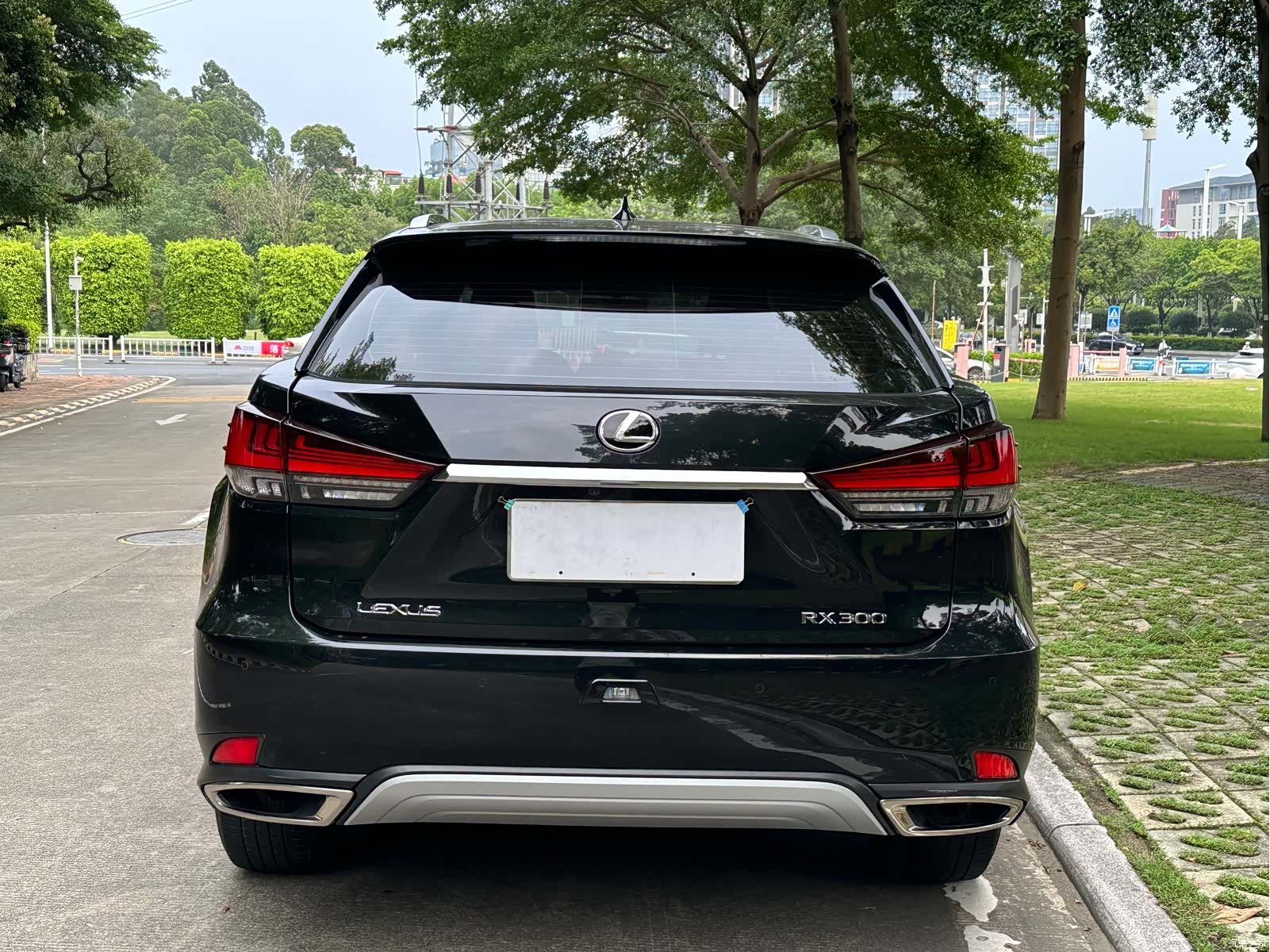 Lexus RX, 2021 6