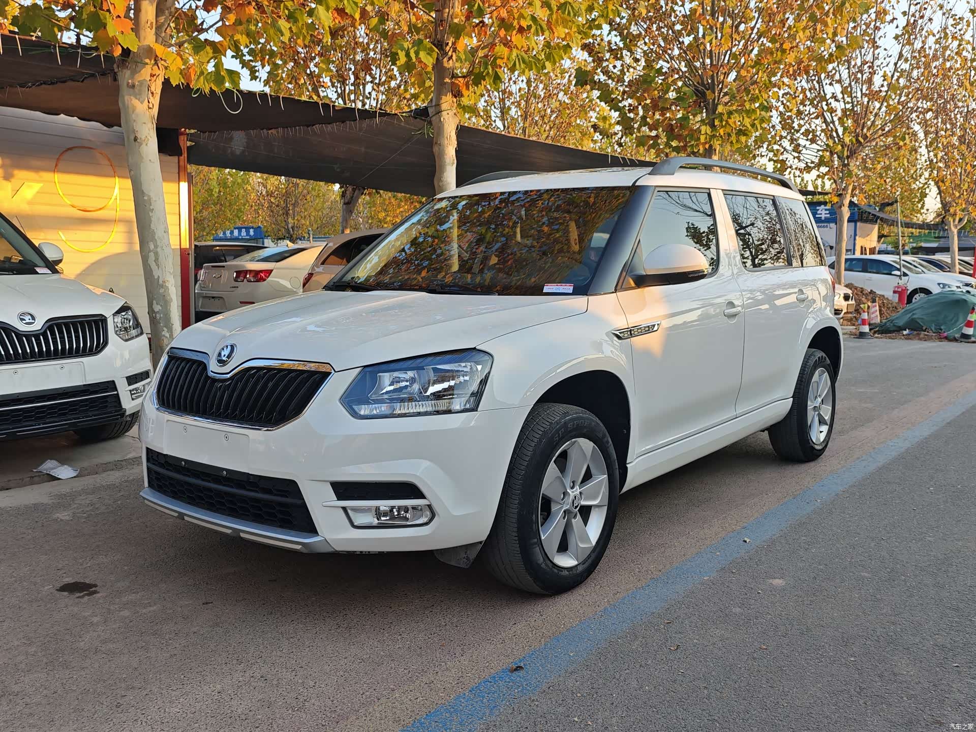 Skoda Yeti, 2017 1
