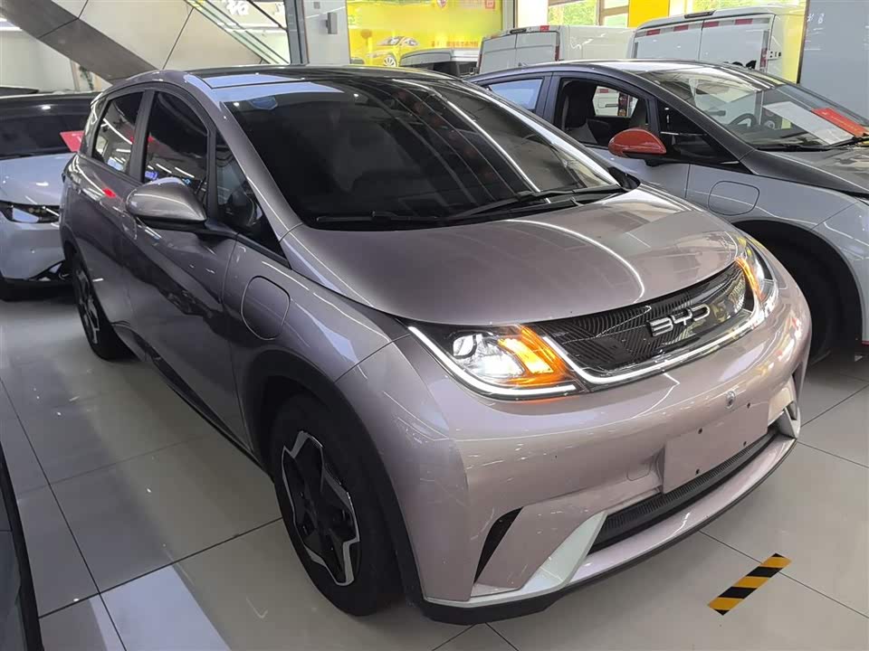 BYD dolphin