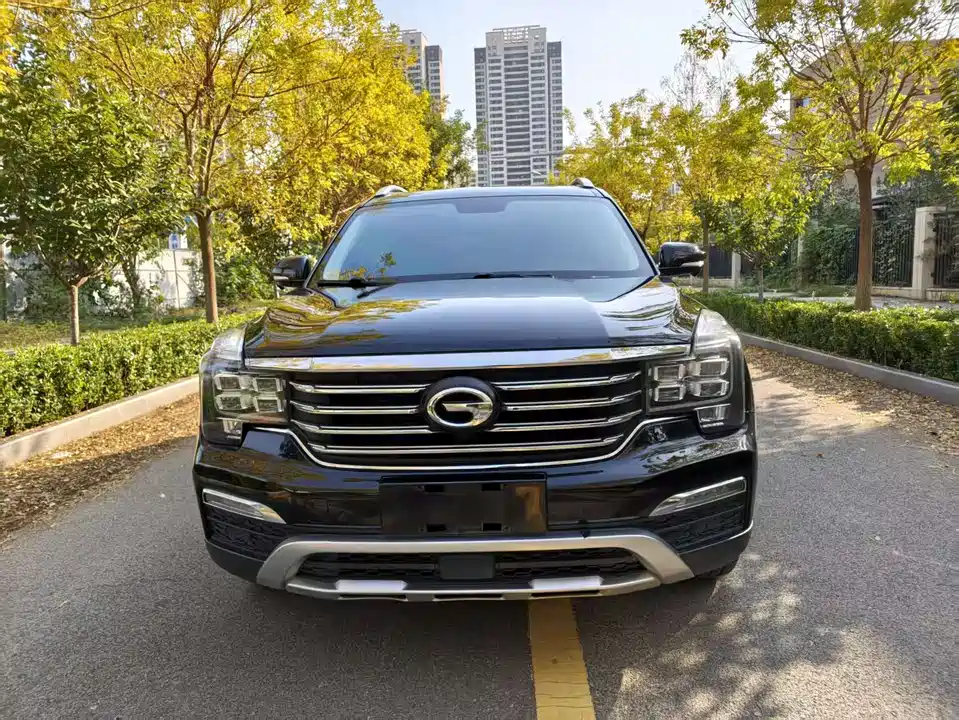 Trumpchi Trumpchi GS8