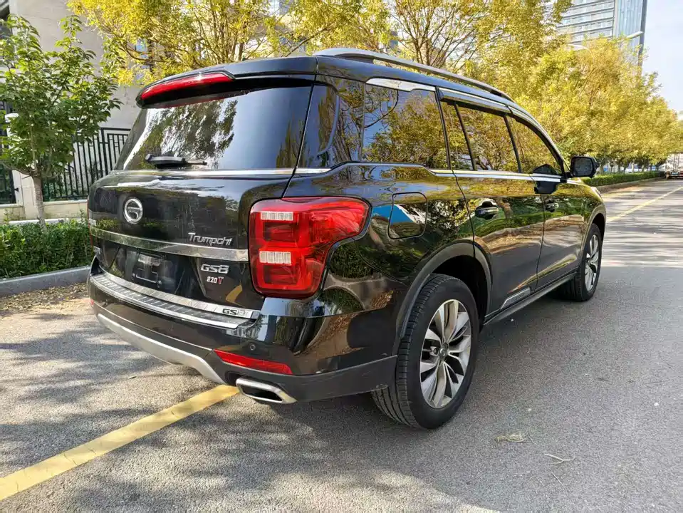 Trumpchi Trumpchi GS8