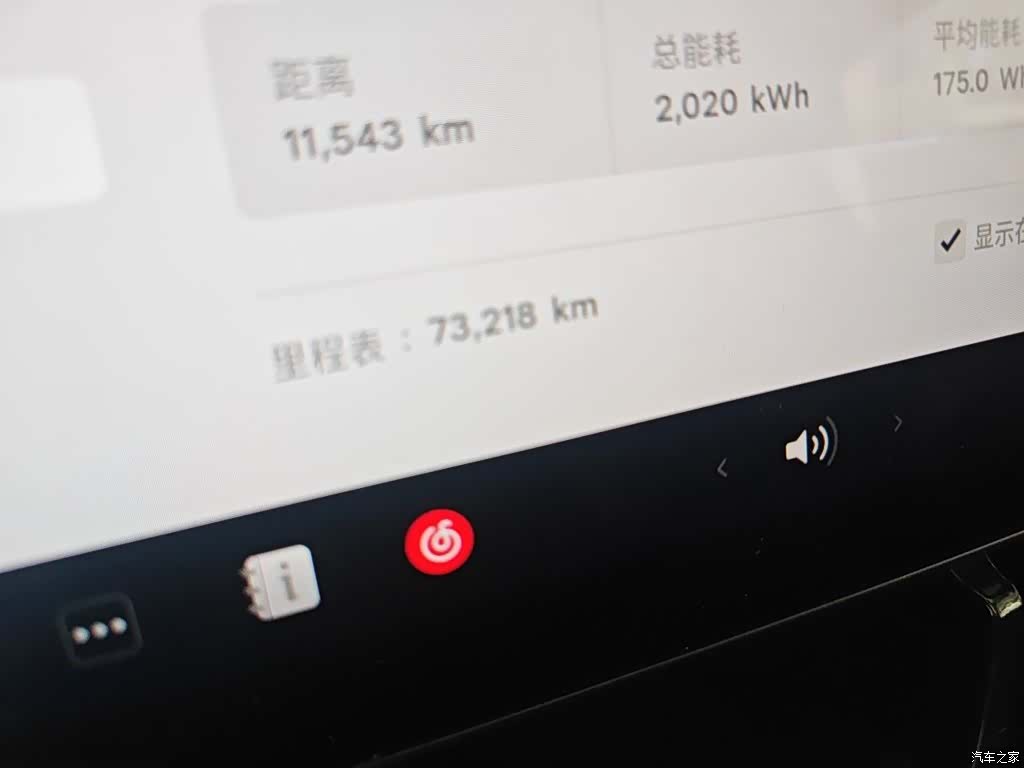 Tesla Model Y, 2021 все фото