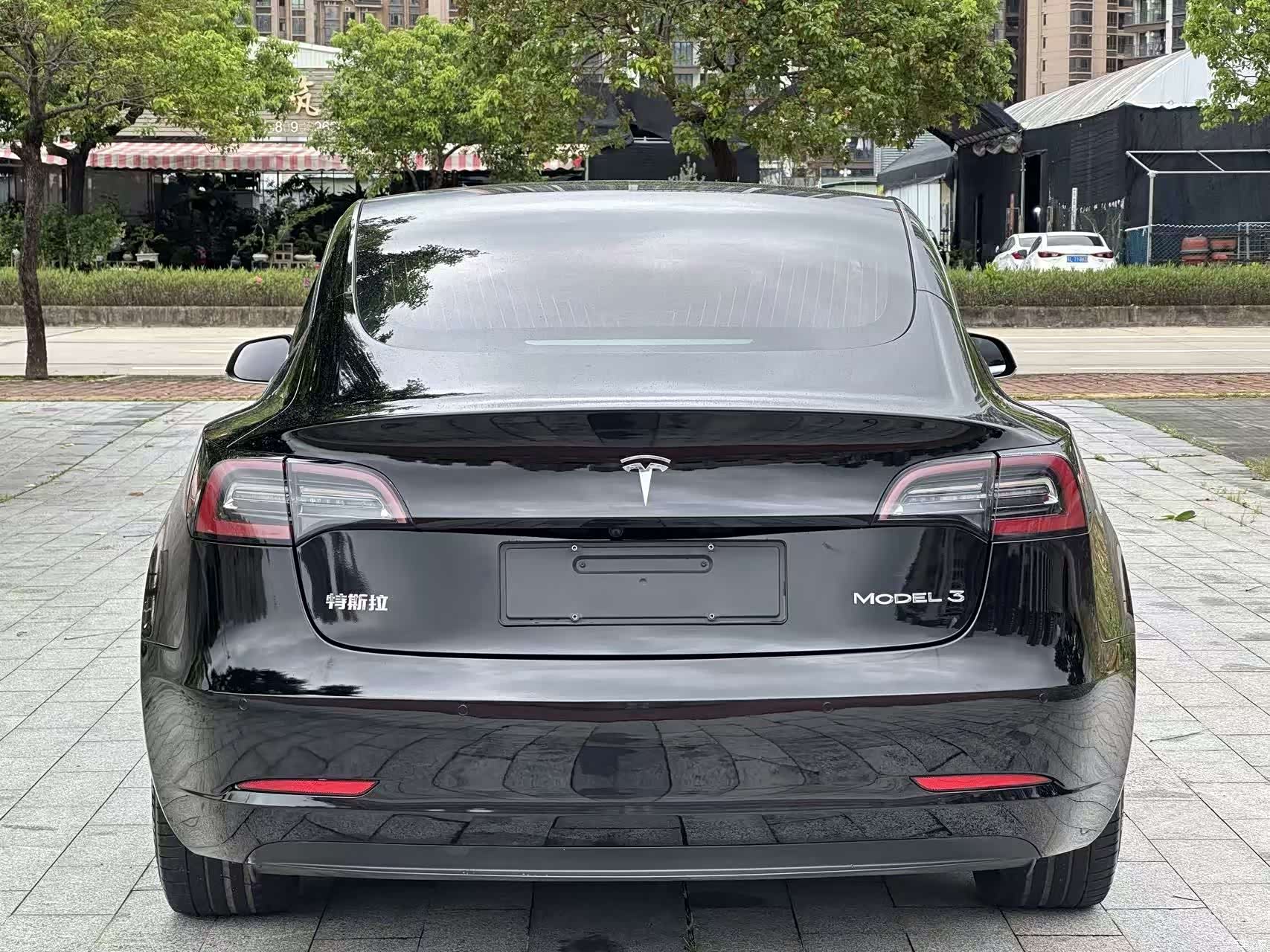 Tesla Model 3, 2021 8