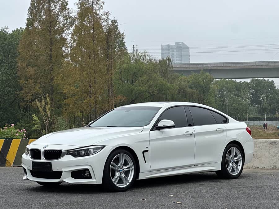 BMW 4 Series 2017, фото 1