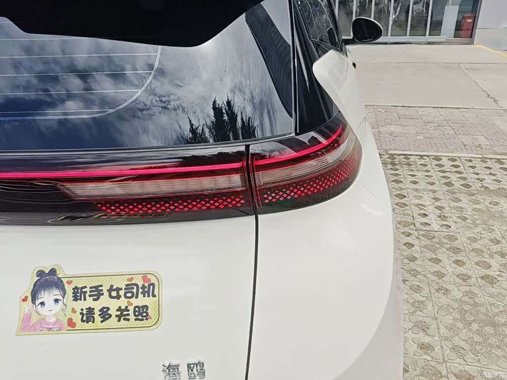 BYD Seagull, 2026 8