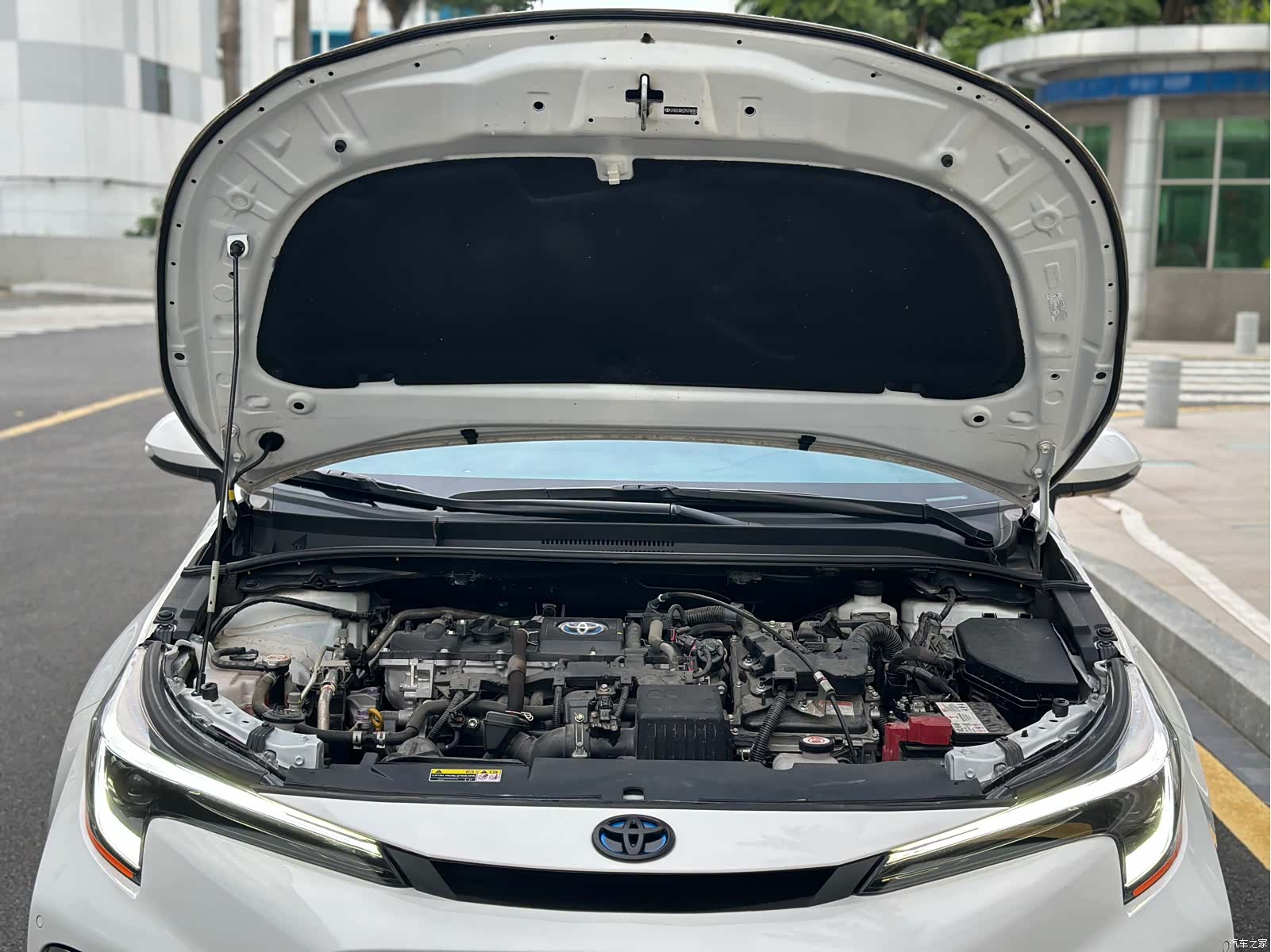 Toyota Levin, 2023 16