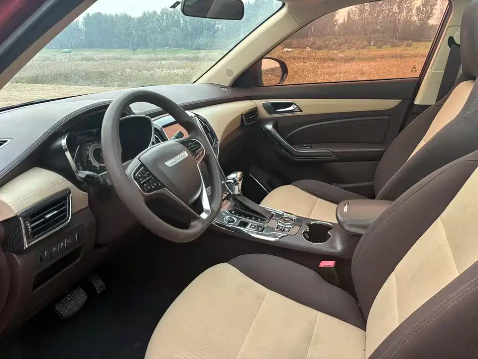 Leopaard Cheetah CS9