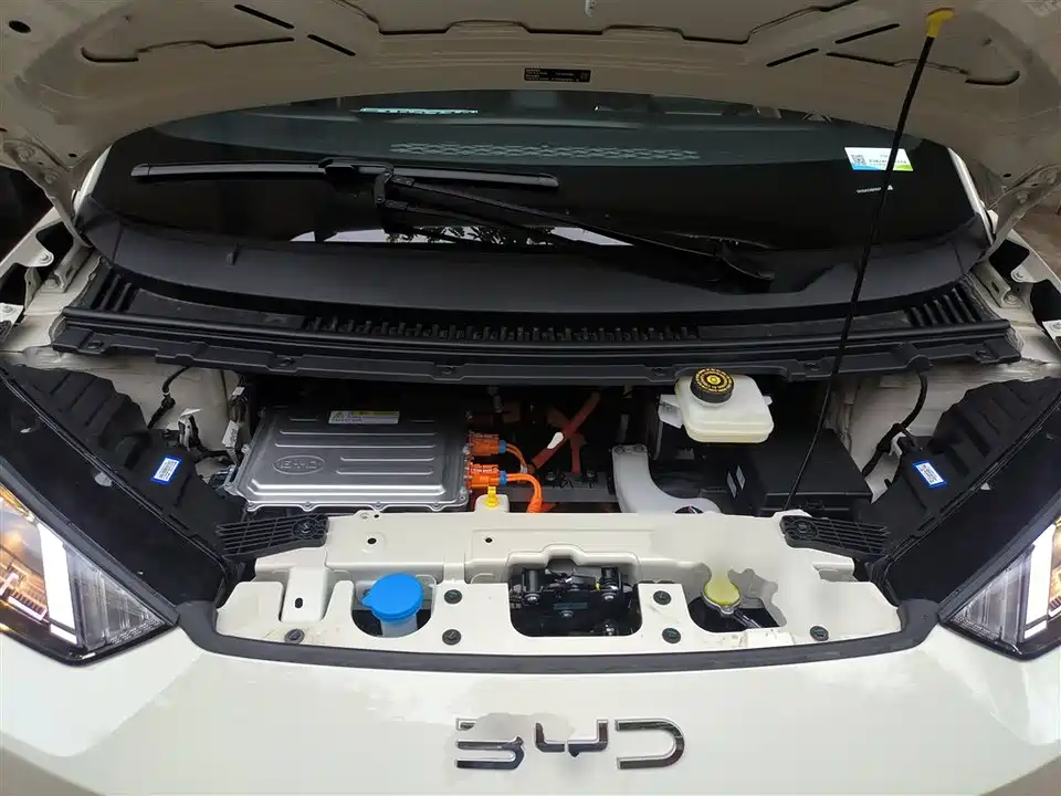 BYD Seagull