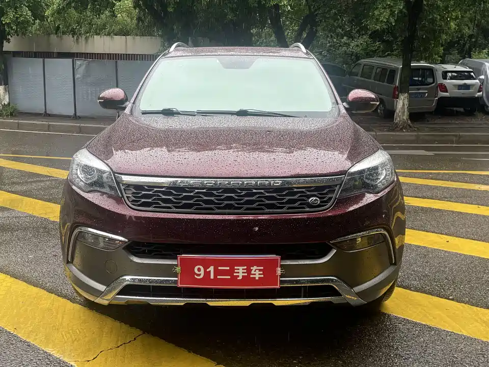 Leopaard Cheetah CS10