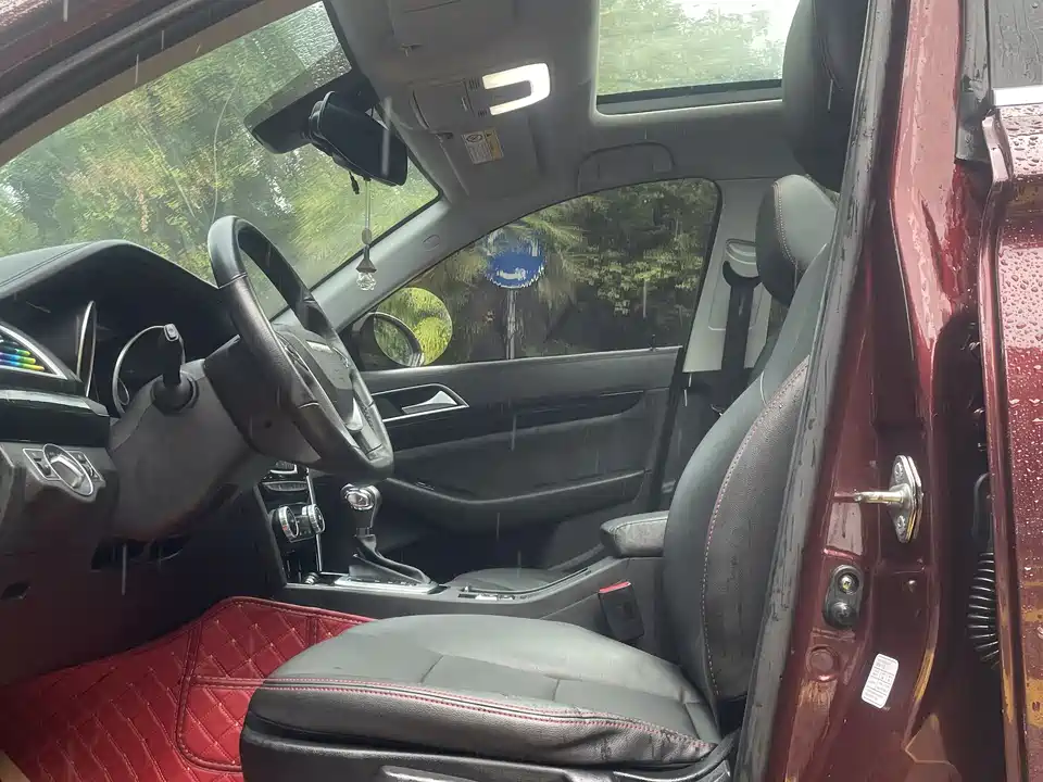 Leopaard Cheetah CS10