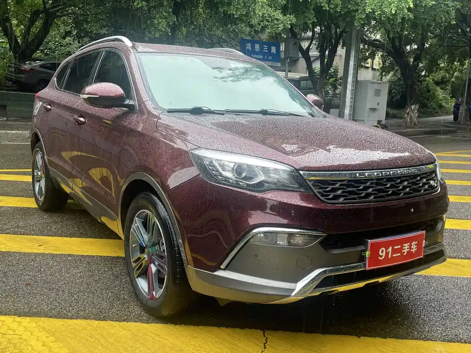 Leopaard Cheetah CS10