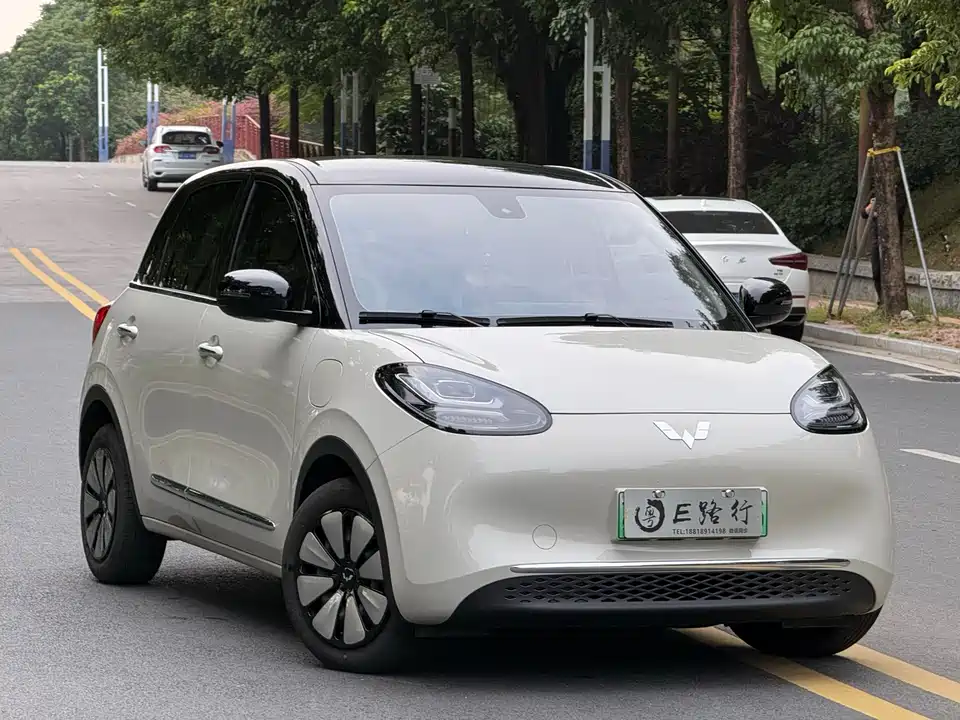 Wuling Wuling Bingguo