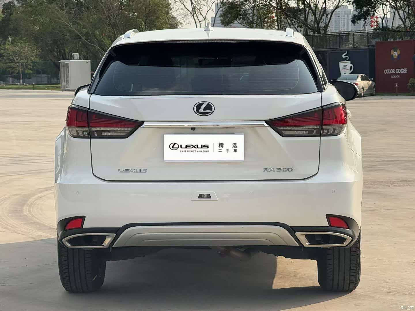 Lexus RX, 2020 4