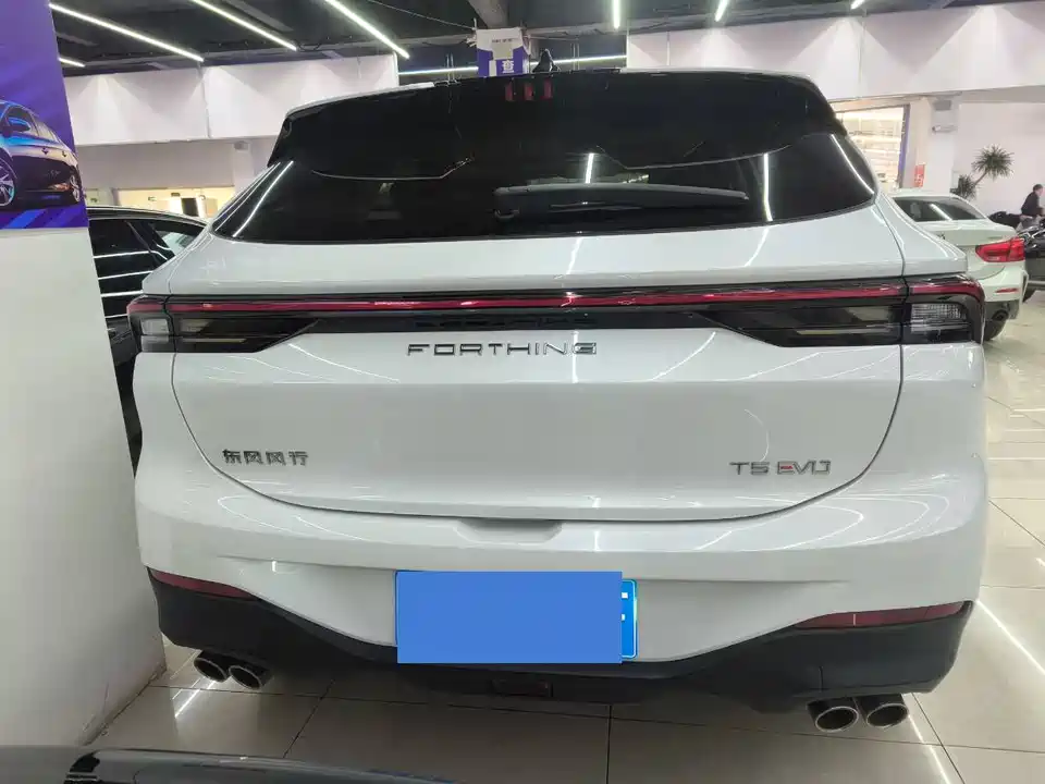 Forthing Popular T5 EVO