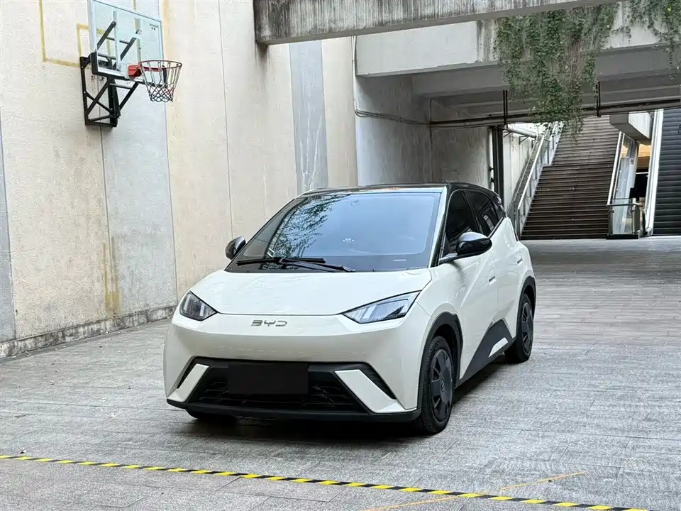 BYD Seagull