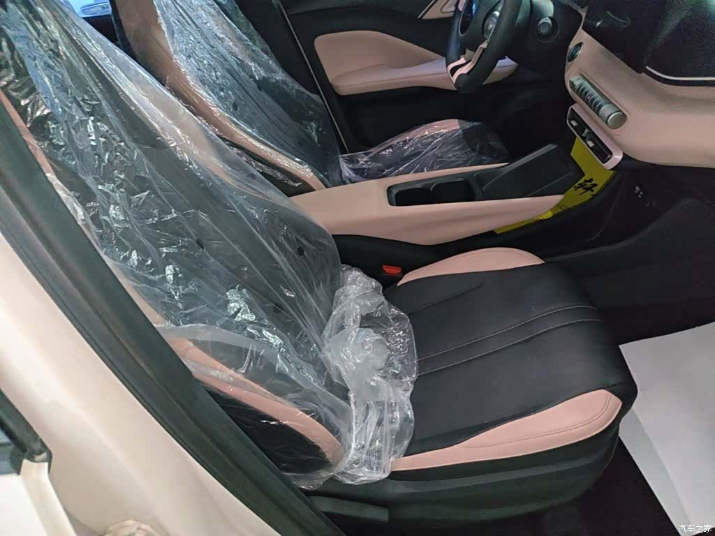 BYD Seagull, 2025 25
