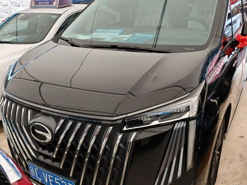 Trumpchi Trumpchi M8