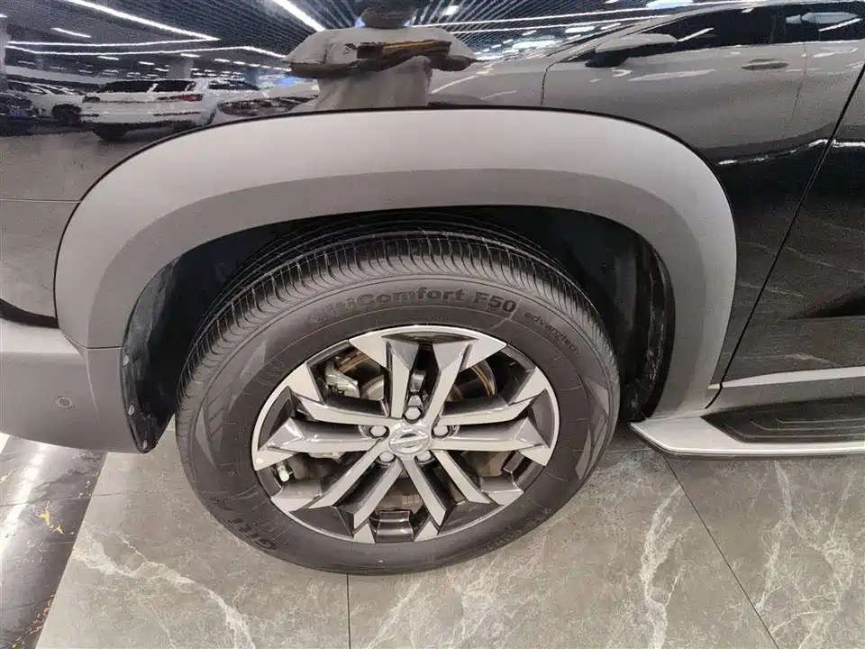 Haval Big dog