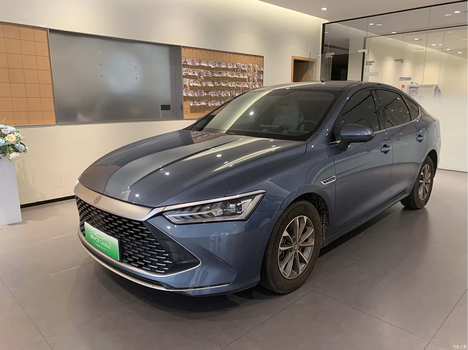 BYD Qin, 2024 1