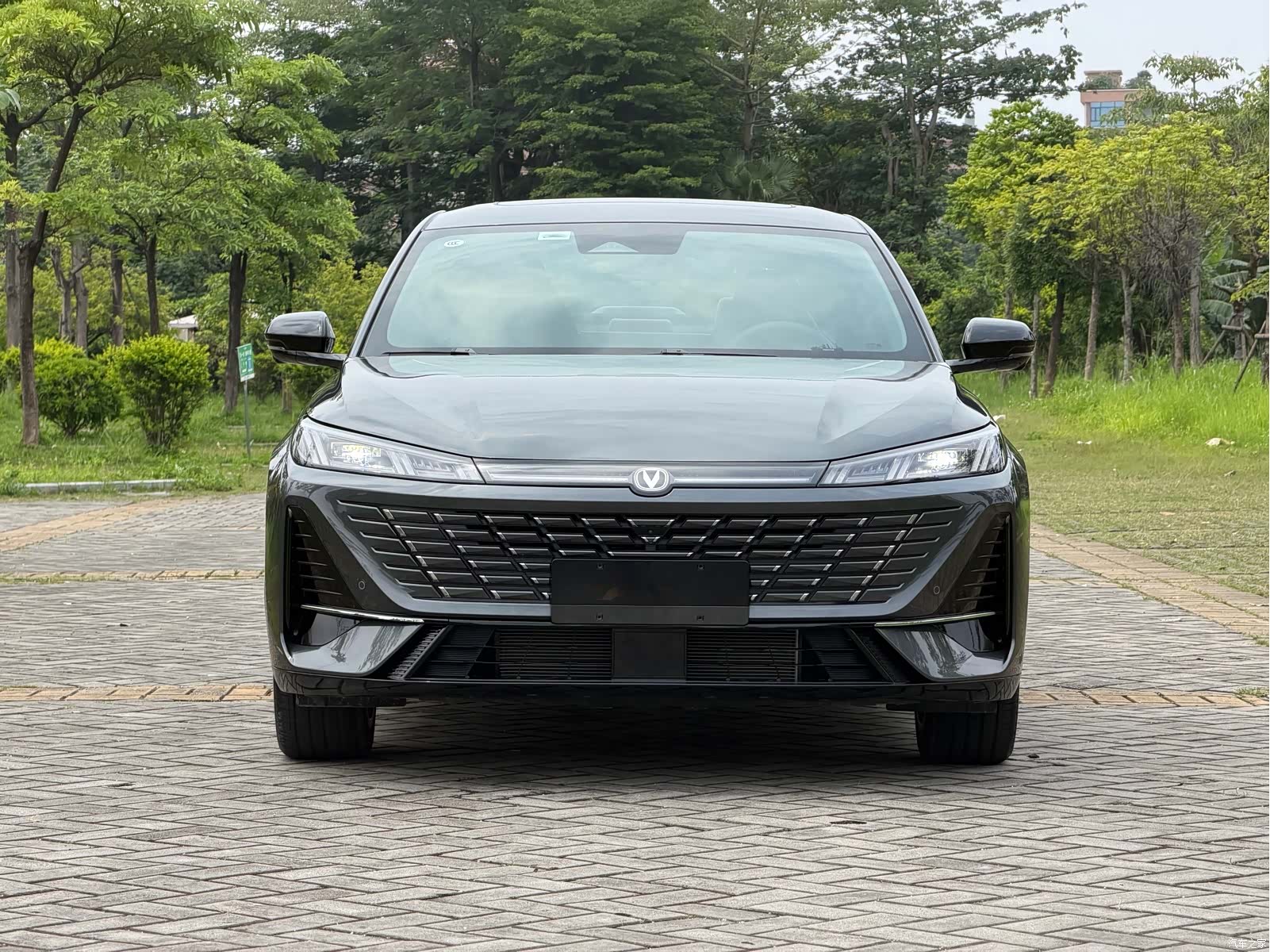 Changan Eado, 2025 2