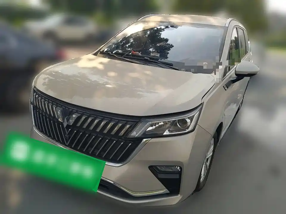 Wuling Wuling Jiachen