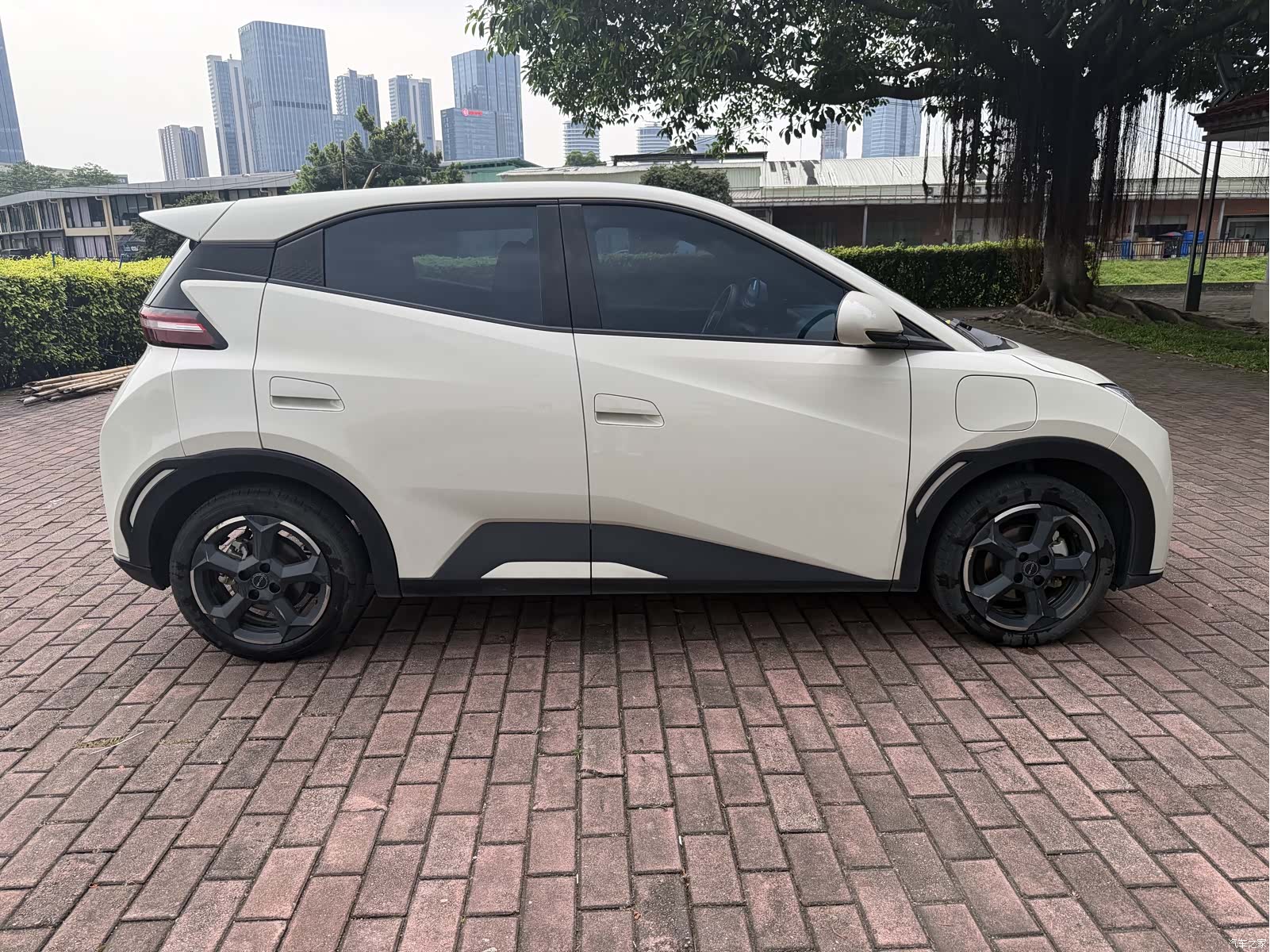 BYD Seagull, 2023 8