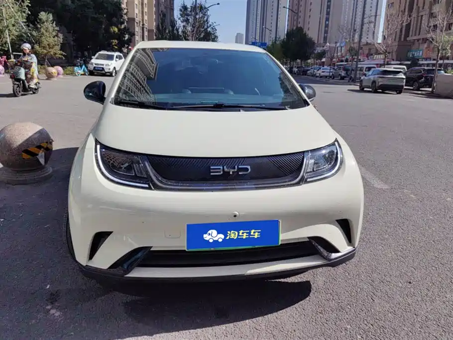 BYD dolphin