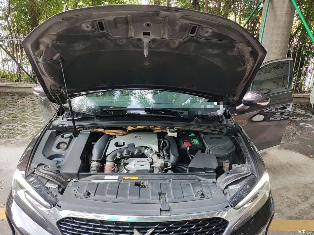 DS 5LS, 2018 11