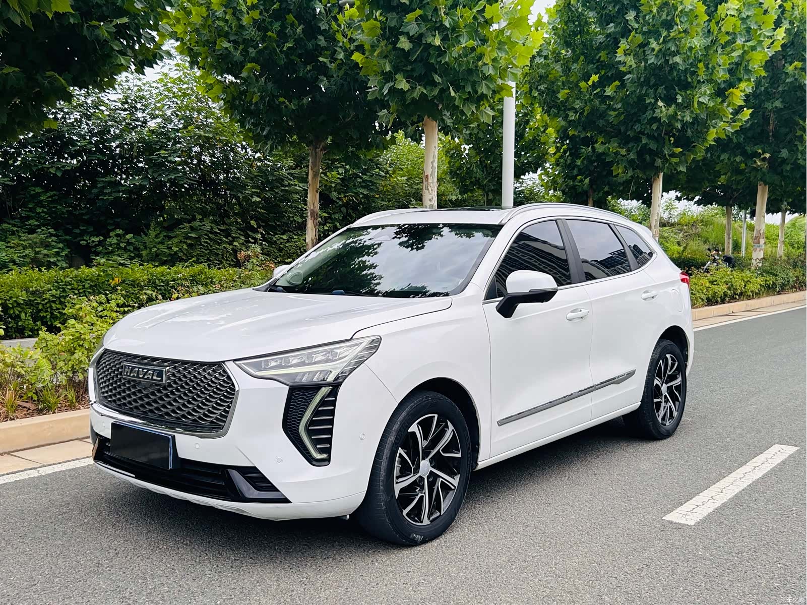 Haval First Love