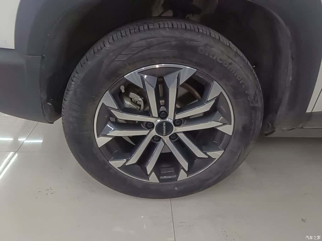 Haval Big Dog, 2023 23