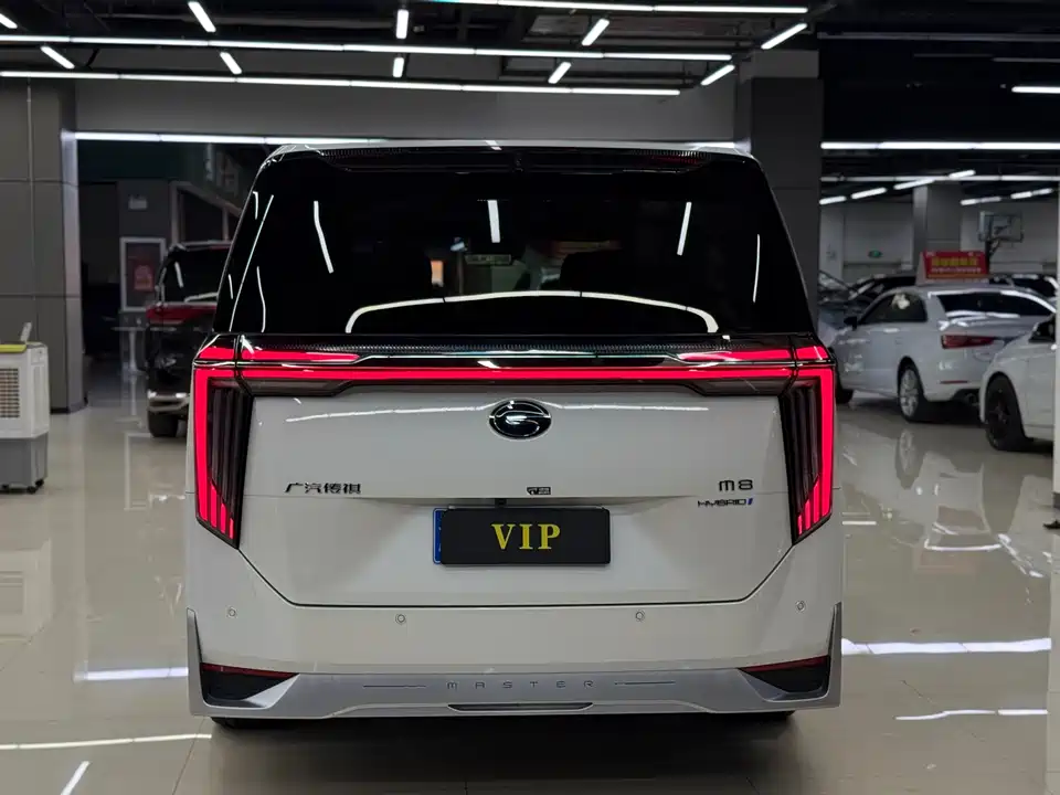 Trumpchi Trumpchi M8