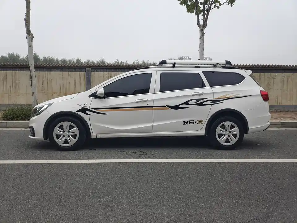 Baoding 310W