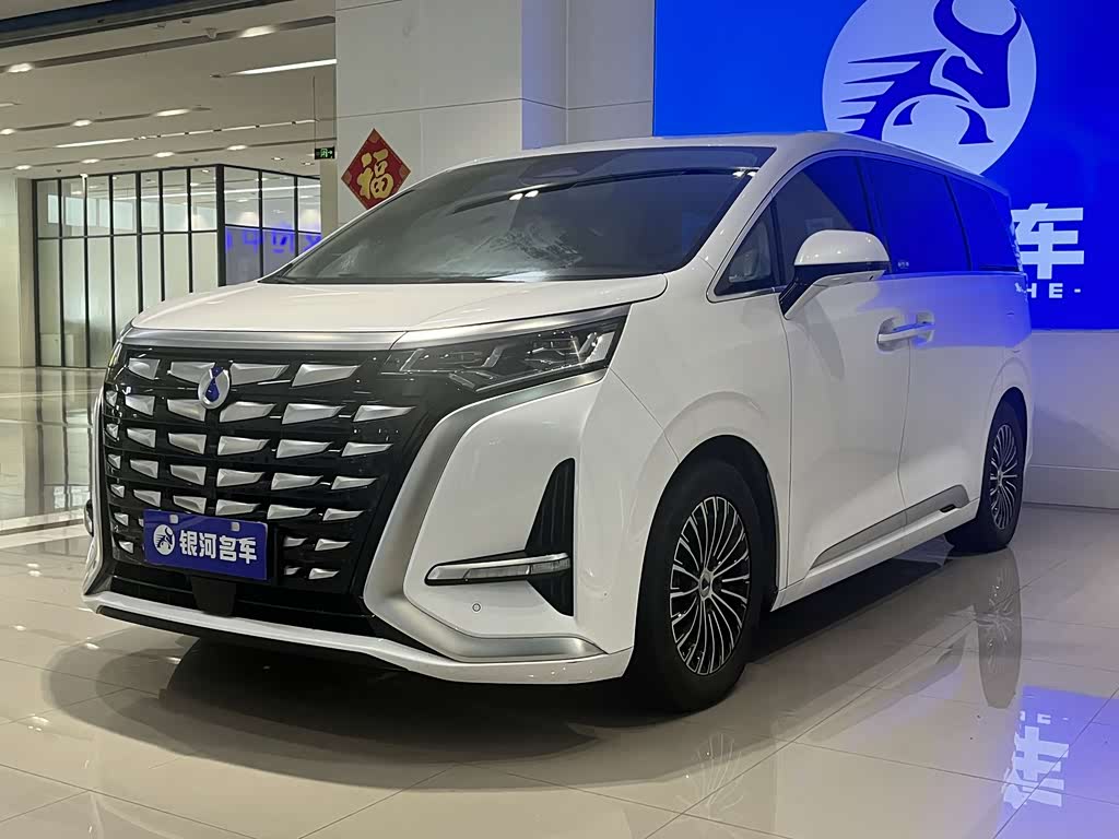 Denza D9