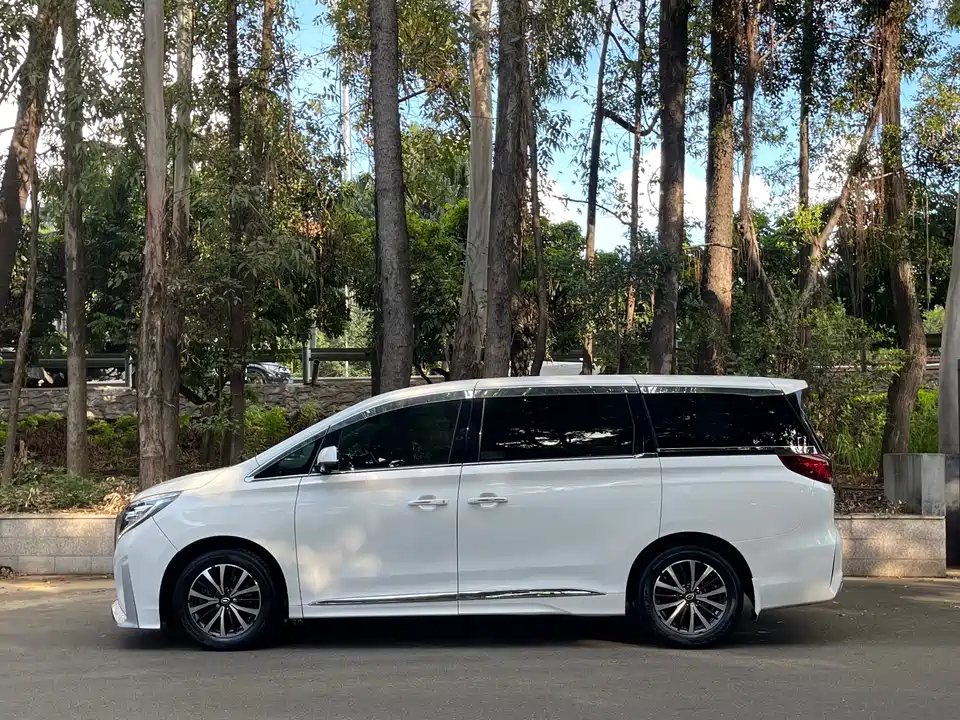 Trumpchi Trumpchi M8