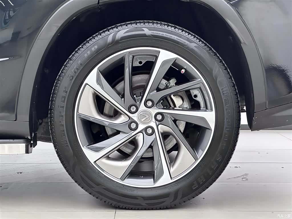 Lexus RX, 2017 17