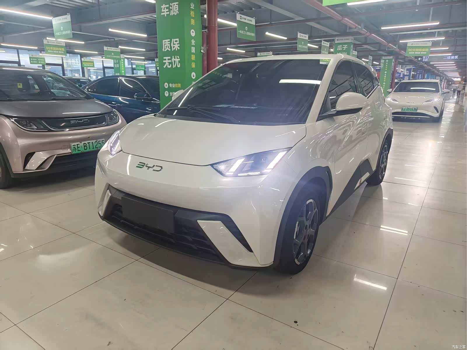 BYD Seagull, 2024 1