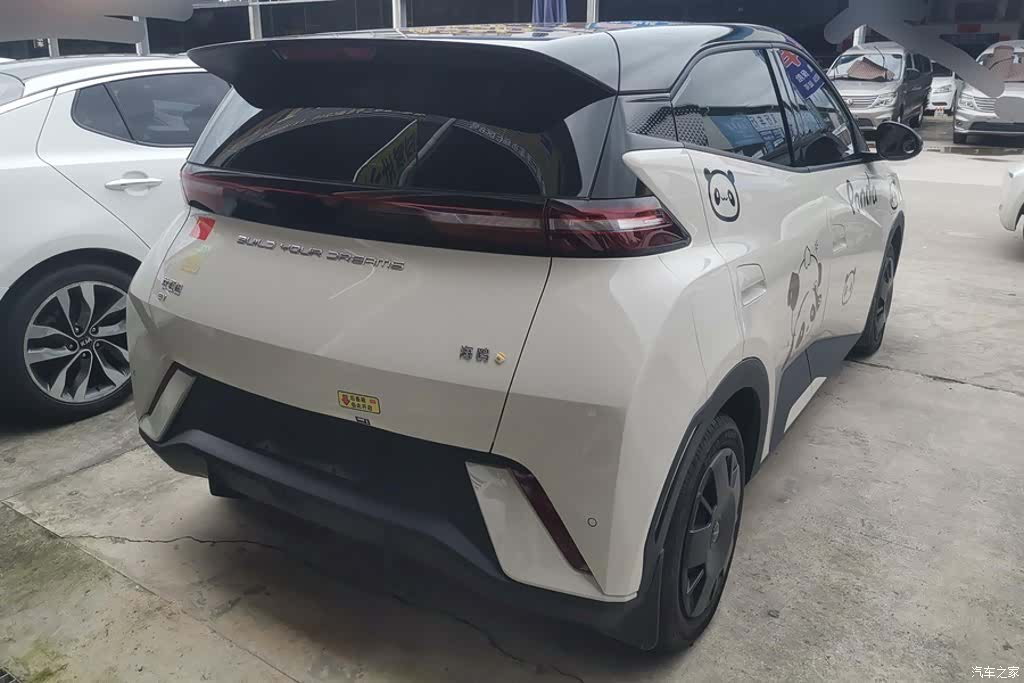 BYD Seagull, 2024 3