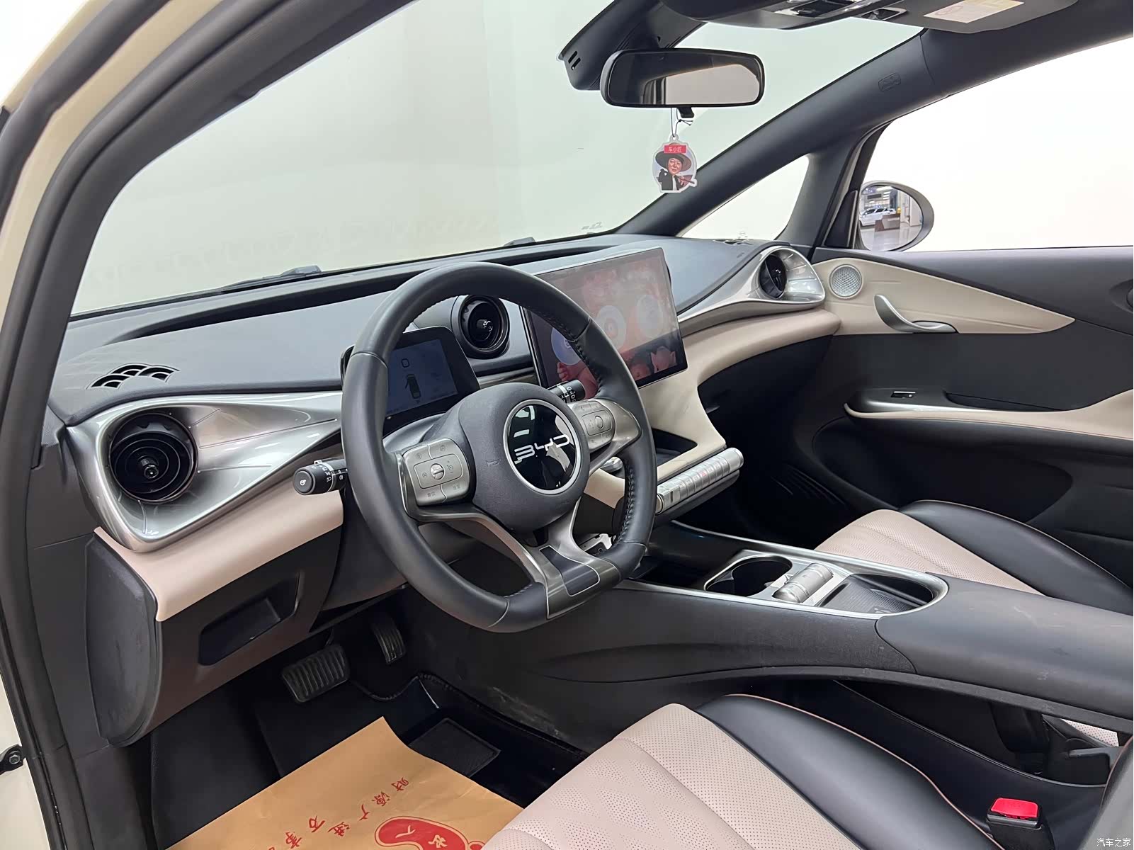 BYD Dolphin, 2023 14