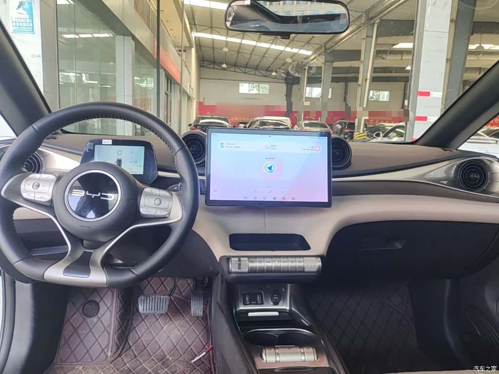 BYD Dolphin, 2023 10