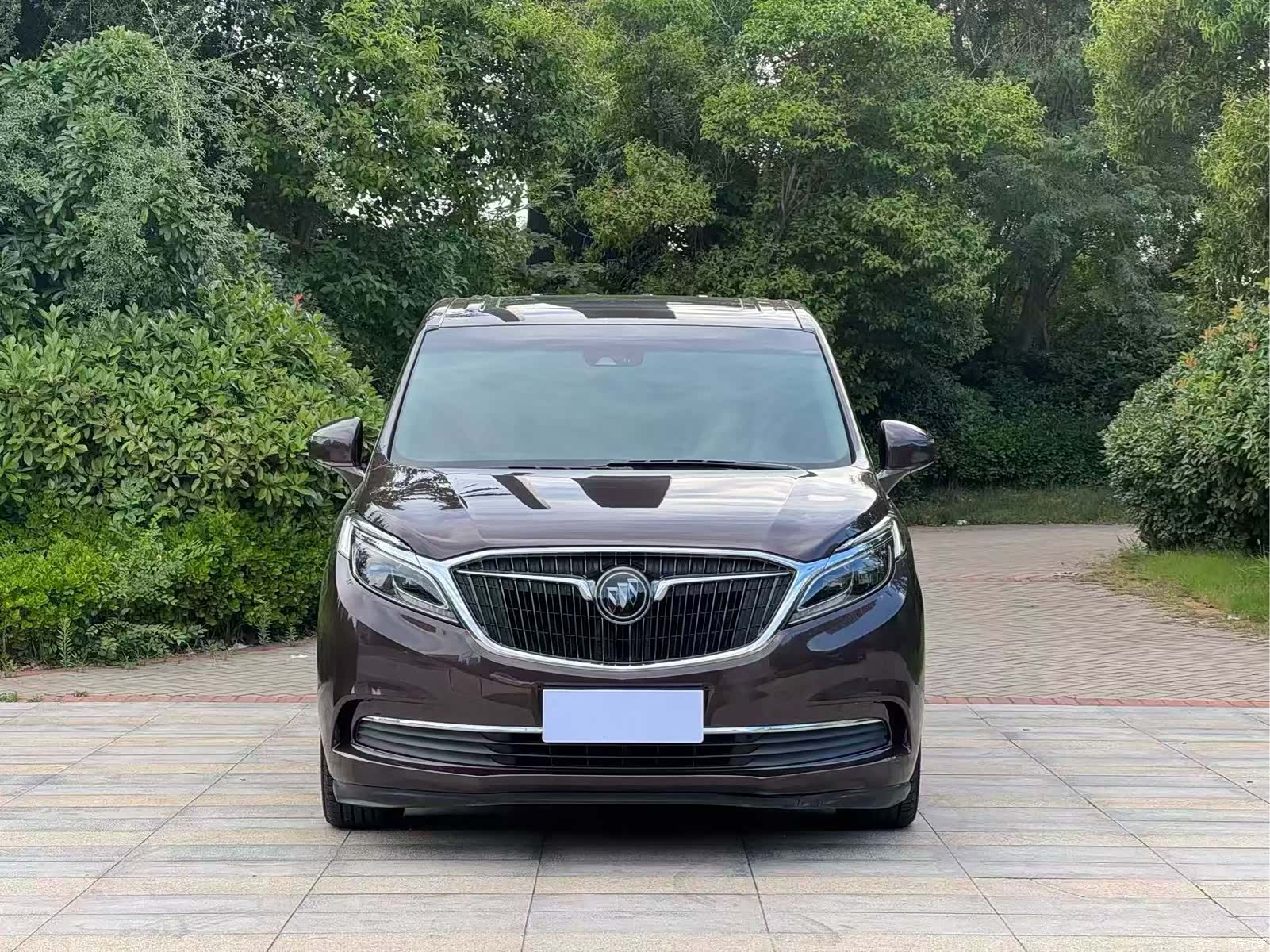 Buick GL8, 2020 2