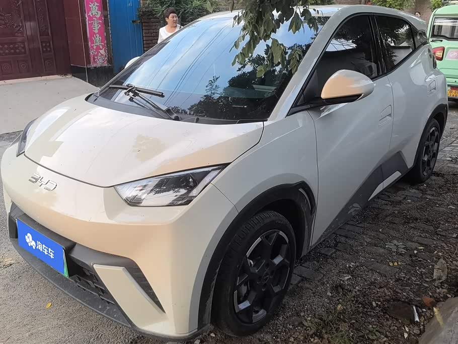 BYD Seagull