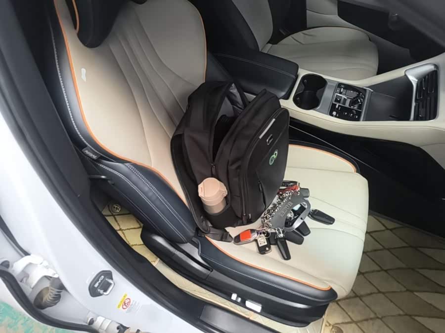 BYD Song PLUS New Energy 2024, фото 20