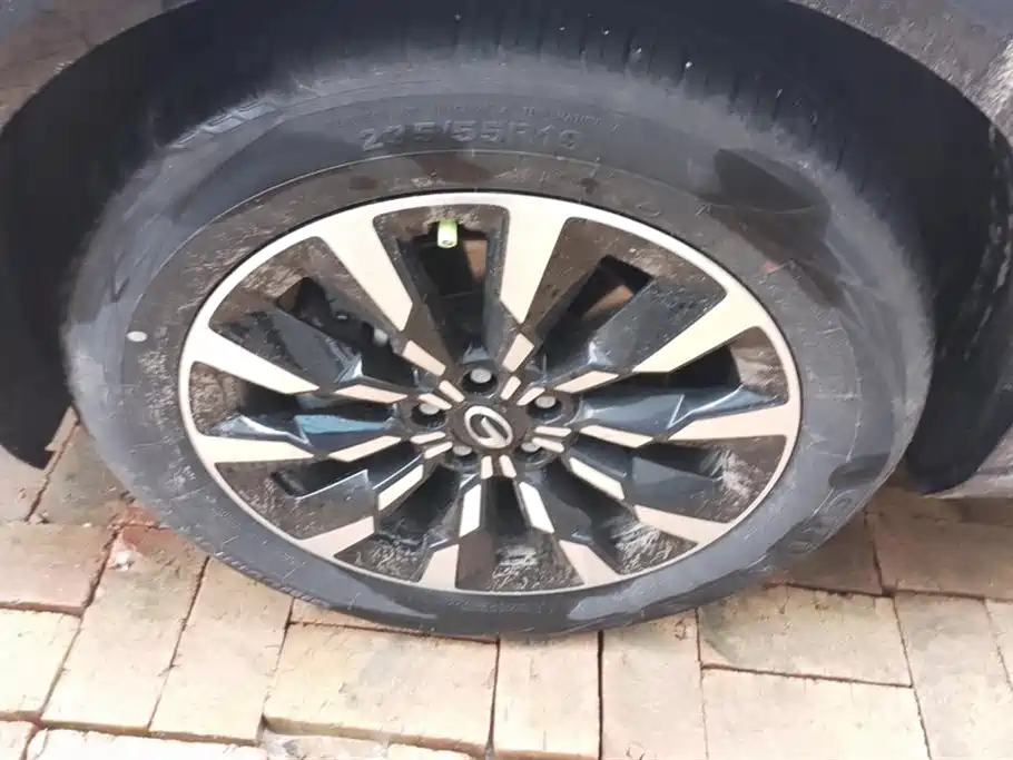 Trumpchi Shadow cool