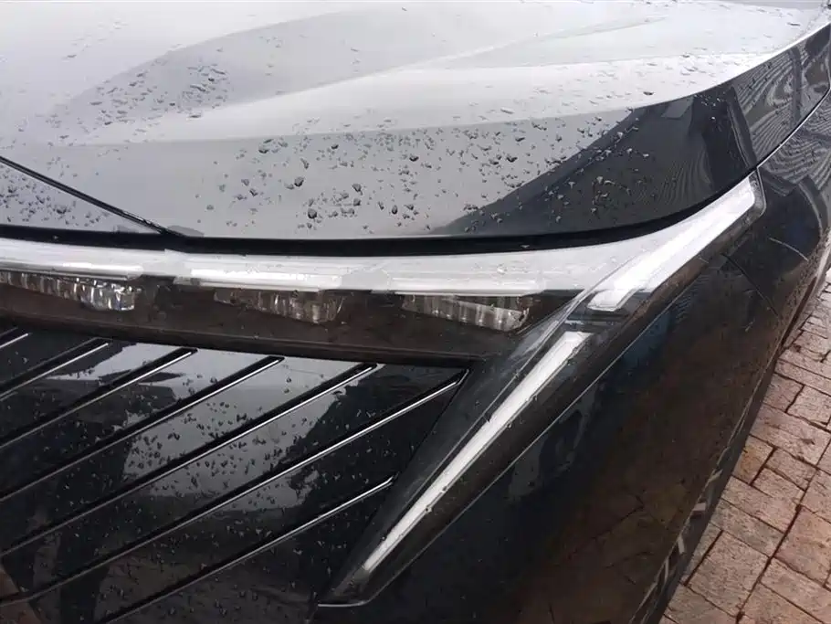 Trumpchi Shadow cool