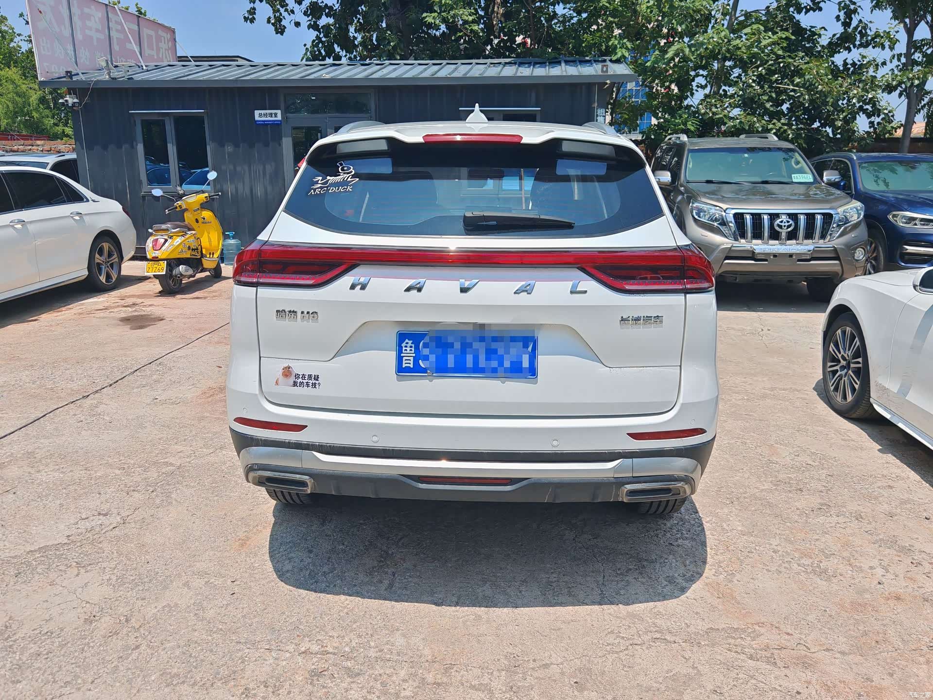 Haval H6, 2023 все фото