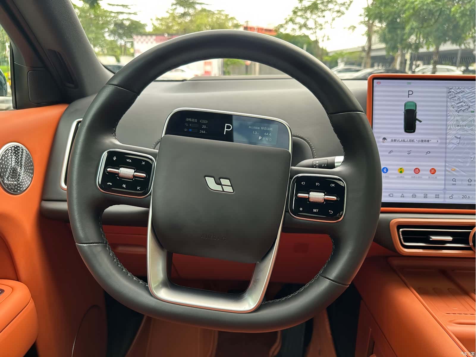 Li Auto L9, 2025 17